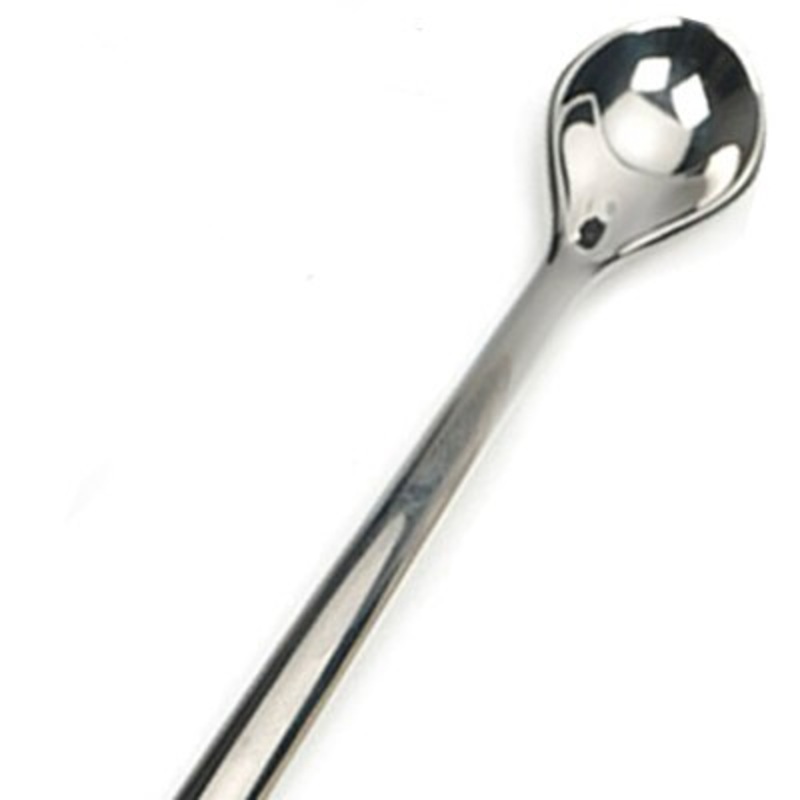 Stainless Steel Condiment Spoon