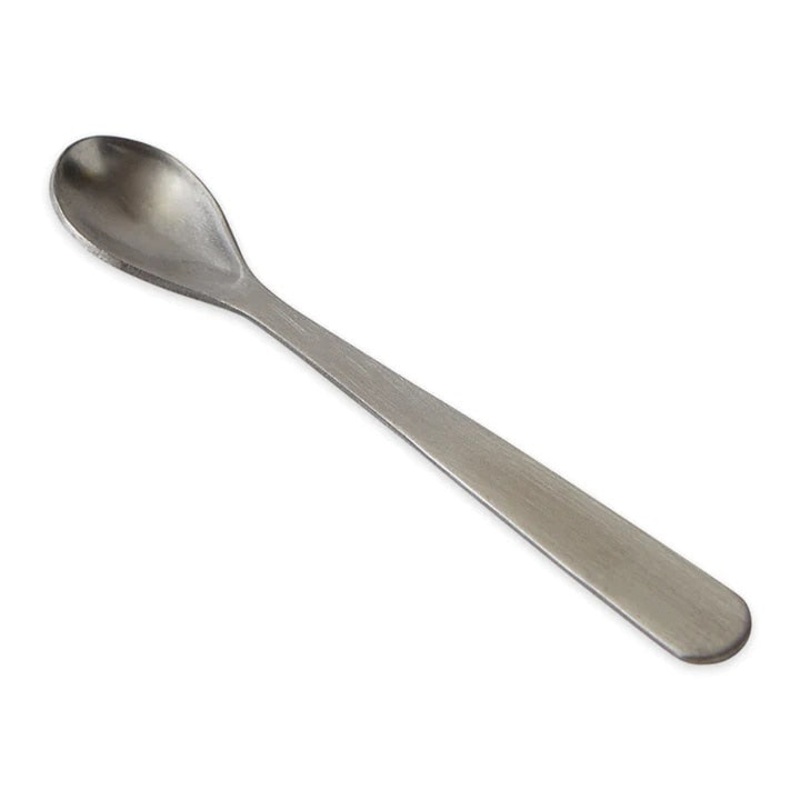 Stainless Steel Salt Spoon