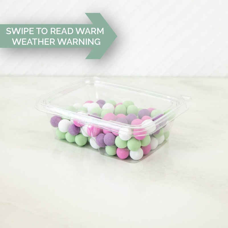 Alpine Chocolate Mints - 16 Oz. Container