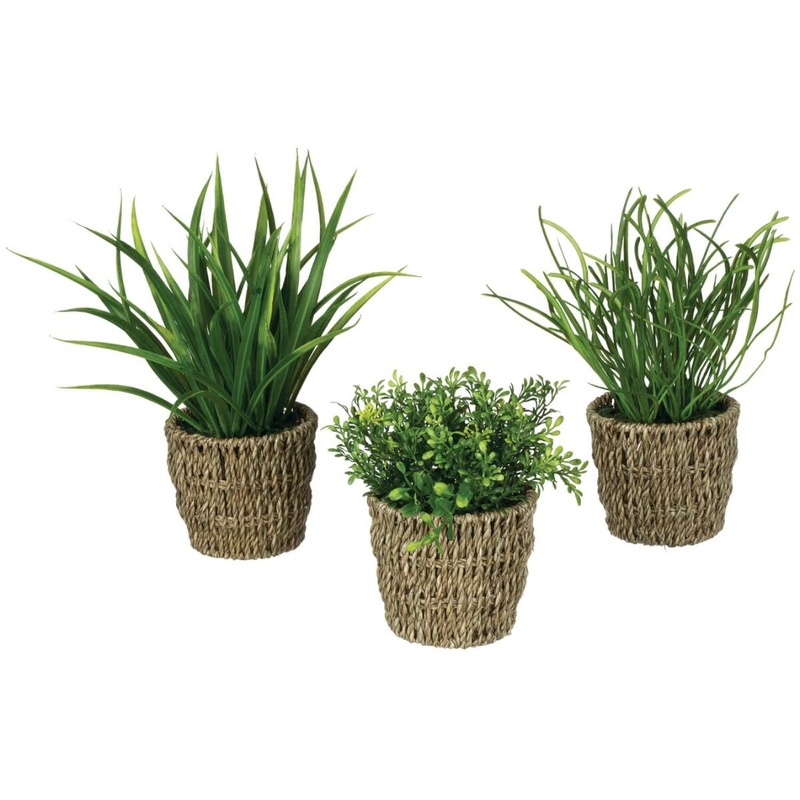 Foliage w/Basket Potted Plant