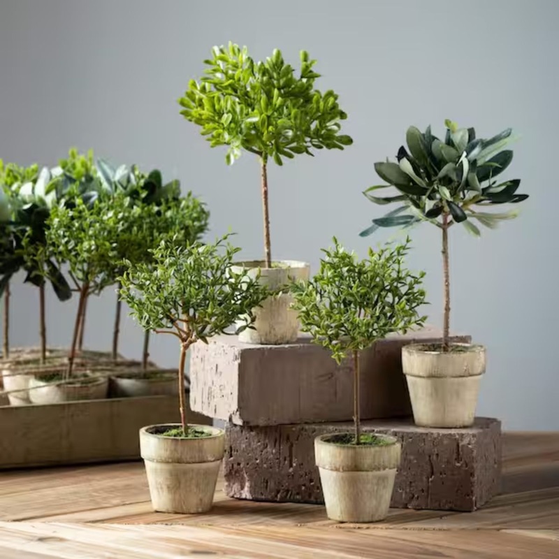 Potted Mini Tree