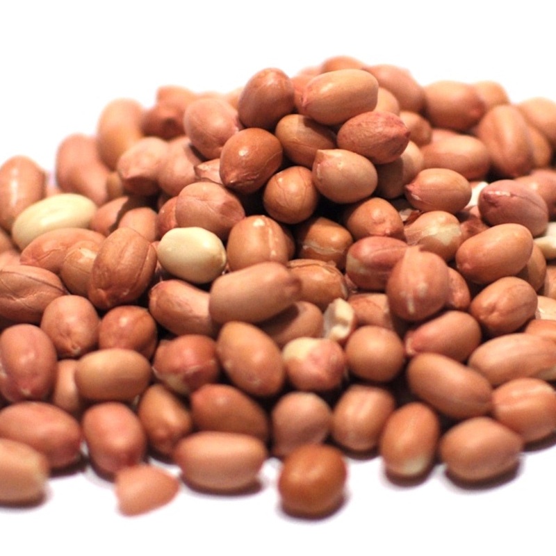 Spanish Raw Peanuts - 32 Oz. Container