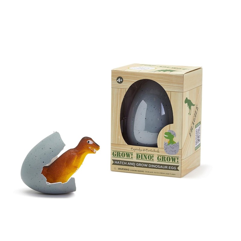 Myster Growing Dino In Egg
