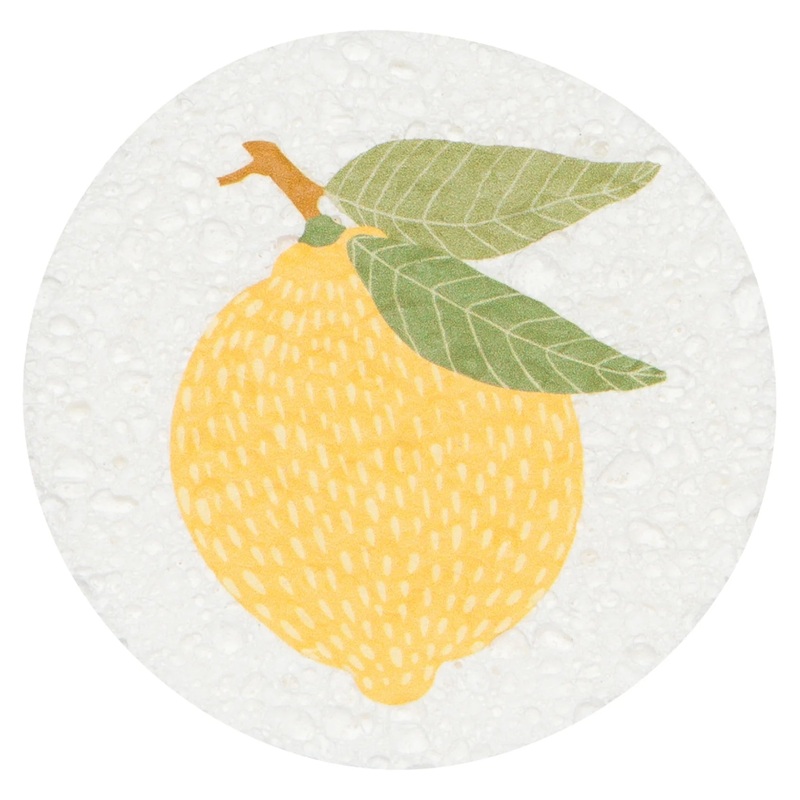 Now Designs Spring Compostable Sponge - Assorted Designs