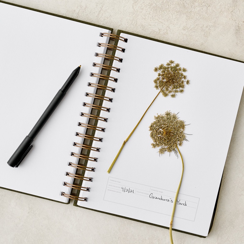Herbarium Journal