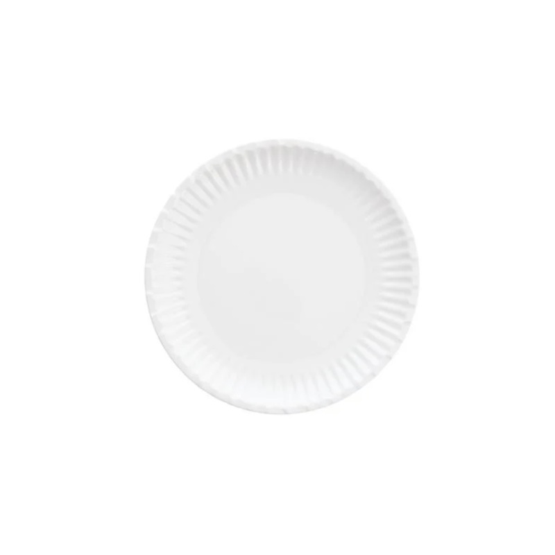 Street Eats Paper Plate Outdoor Dinner Plate - 11 Set/4