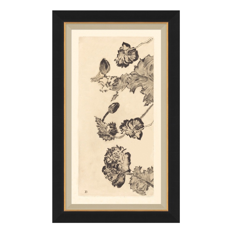Vintage Peony II