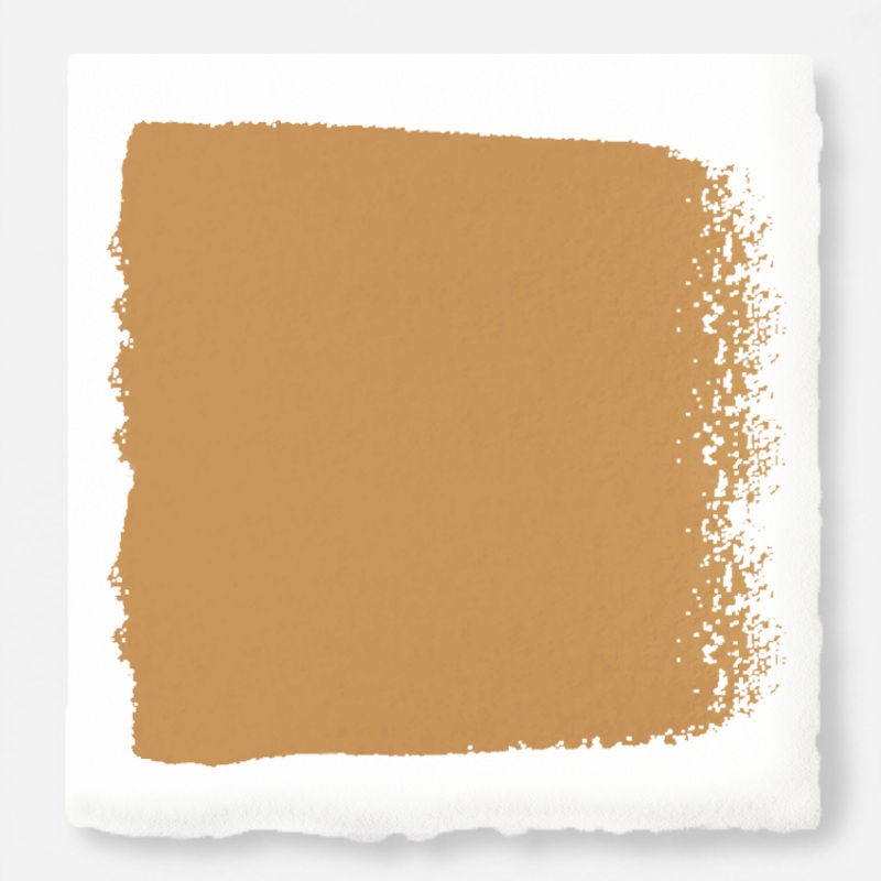 Brushed Clay  -  Premium Interior Paint