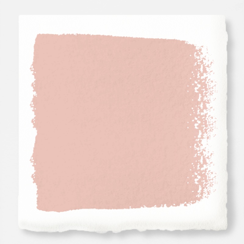 Cabbage Rose  -  Premium Interior Paint