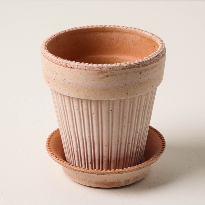 Terracotta Dotted Bergs Pot