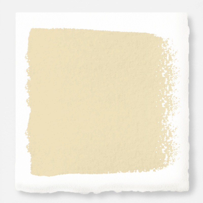 Ambient Light  -  Premium Interior Paint