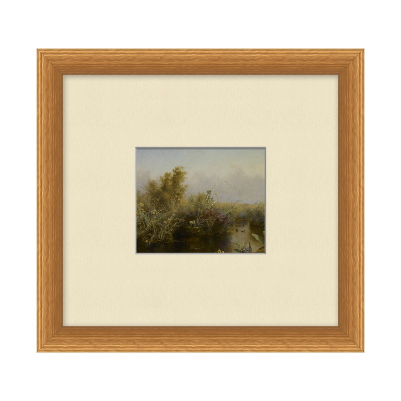 Estuary Study