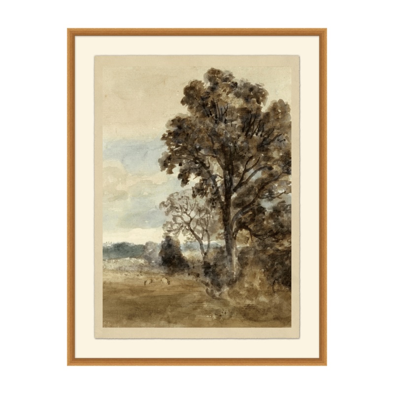 Maple Study