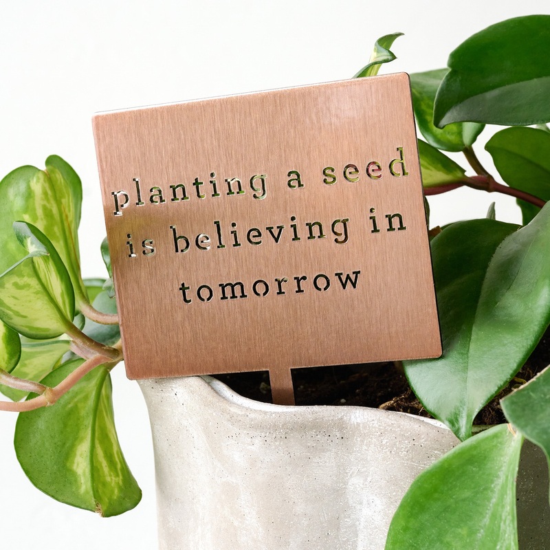 Planting A Seed Mini Garden Stake