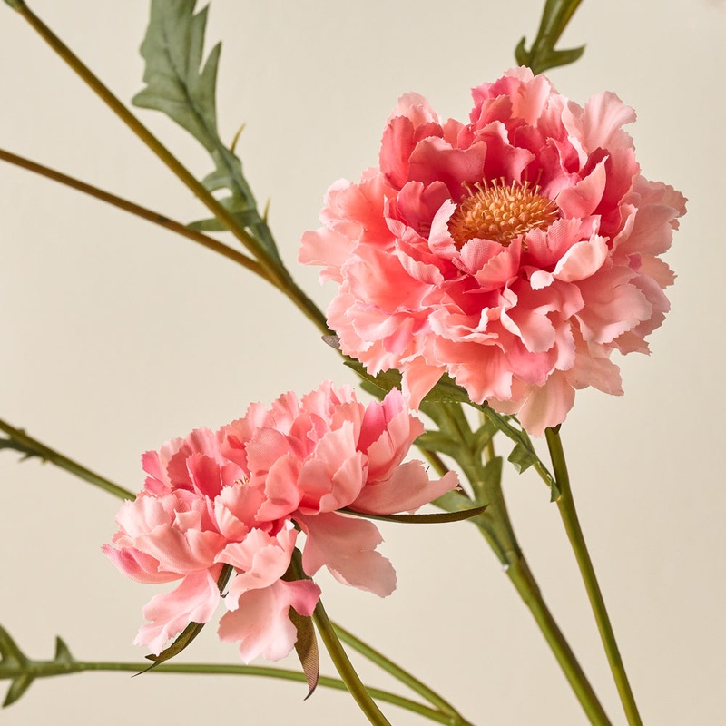 Real Touch Scabiosa Stem