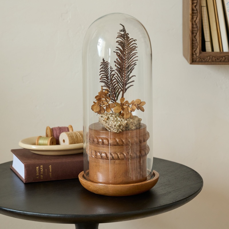 Glass Cloche with Wood Base