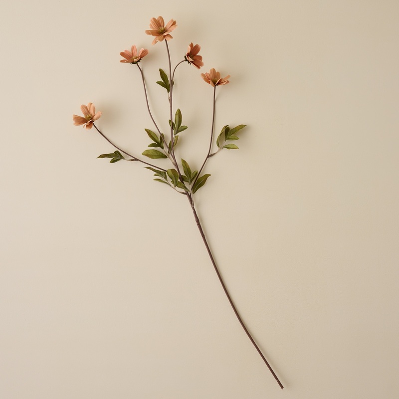 Light Amber Cosmos Stem