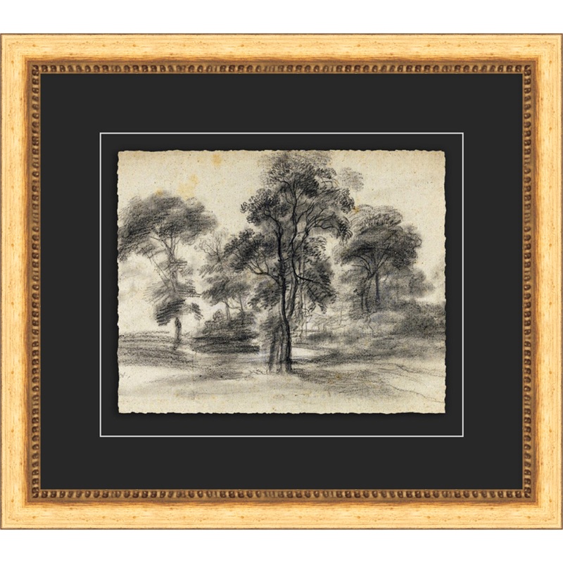 Tree Sketch
